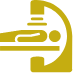Surgical Oncology